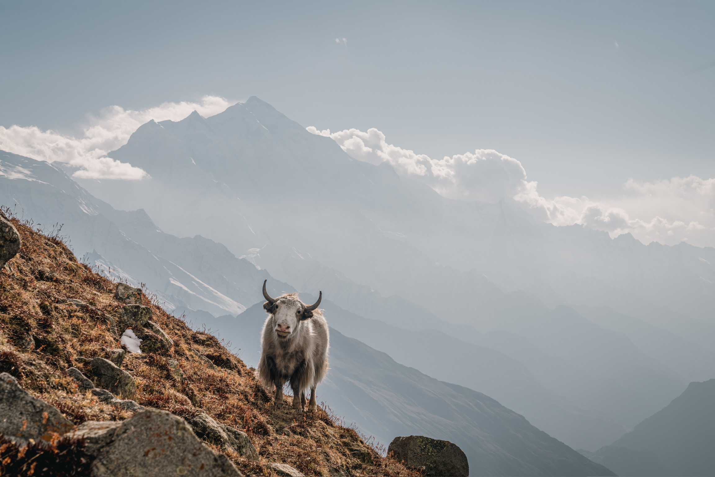 Mountain landscape backdrop