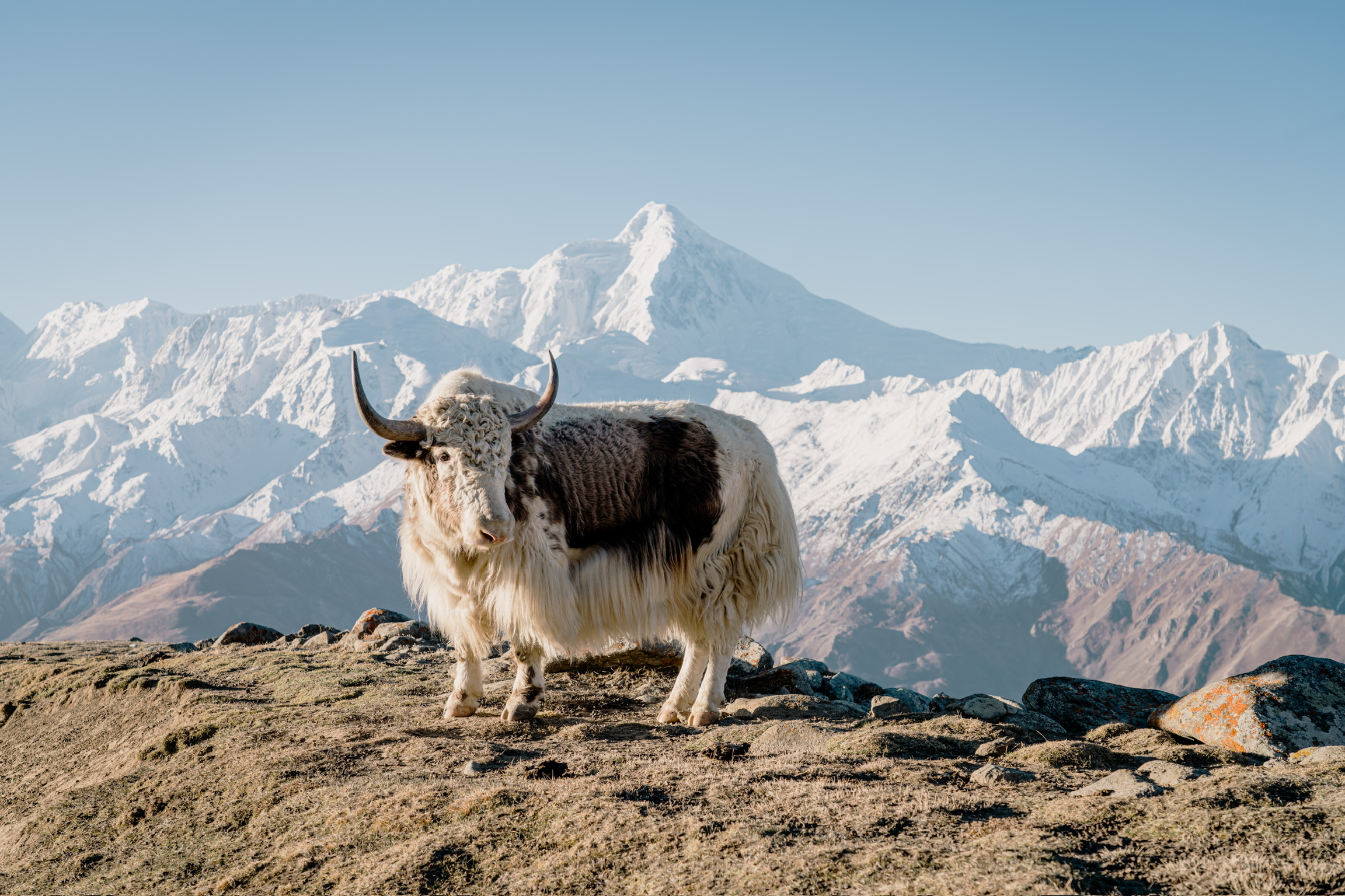 Mountain trail above Hunza Valley